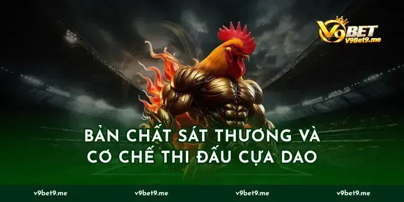 Bản chất sát thương và cơ chế thi đấu cựa dao
