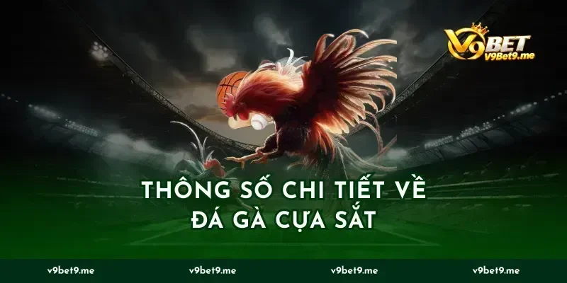 Thông Số Chi Tiết Về Đá Gà Cựa Sắt