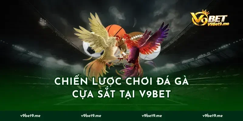 Chiến Lược Chơi Đá Gà Cựa Sắt Tại V9bet