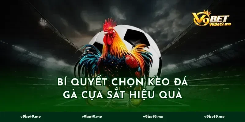 Bí Quyết Chọn Kèo Đá Gà Cựa Sắt Hiệu Quả