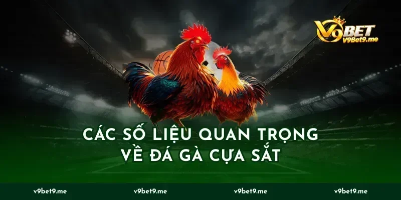 Các Số Liệu Quan Trọng Về Đá Gà Cựa Sắt