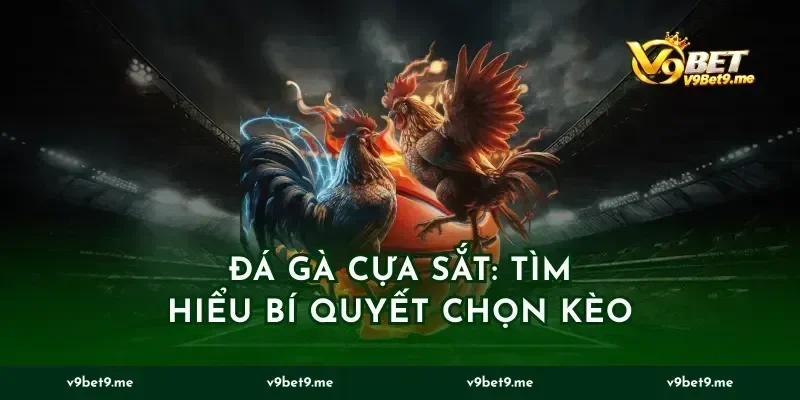 Đá Gà Cựa Sắt: Tìm Hiểu Bí Quyết Chọn Kèo
