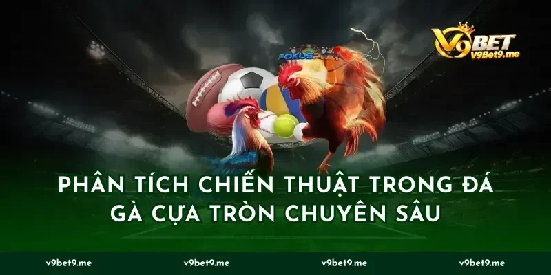 Phân tích chiến thuật trong đá gà cựa tròn chuyên sâu