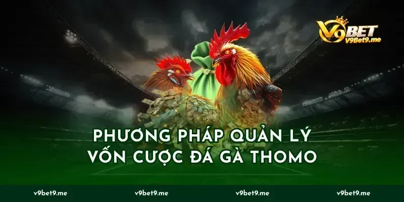Phương pháp quản lý vốn cược đá gà Thomo