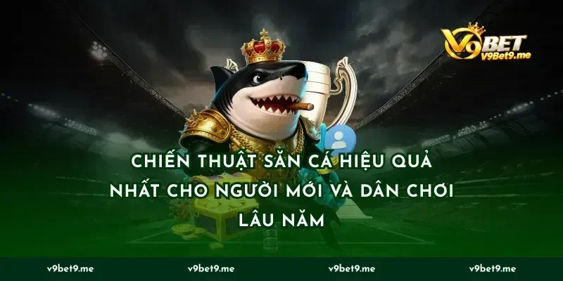 Chiến Thuật Săn Cá Hiệu Quả Nhất Cho Người Mới Và Dân Chơi Lâu Năm