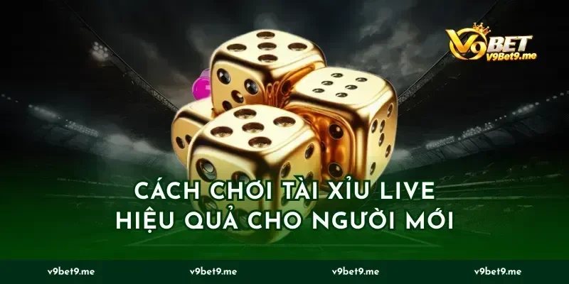 Cách Chơi Tài Xỉu Live Hiệu Quả Cho Người Mới