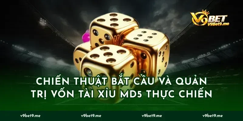 Chiến thuật bắt cầu và quản trị vốn Tài xỉu MD5 thực chiến
