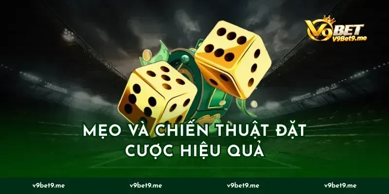 Mẹo và chiến thuật đặt cược hiệu quả
